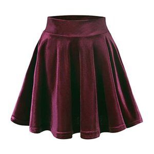 Velvet Skater Skirt